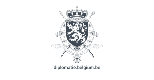logo FOD Buitenlandse Zaken